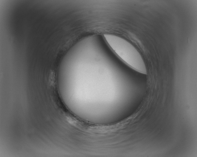 X0000075870025200609150953