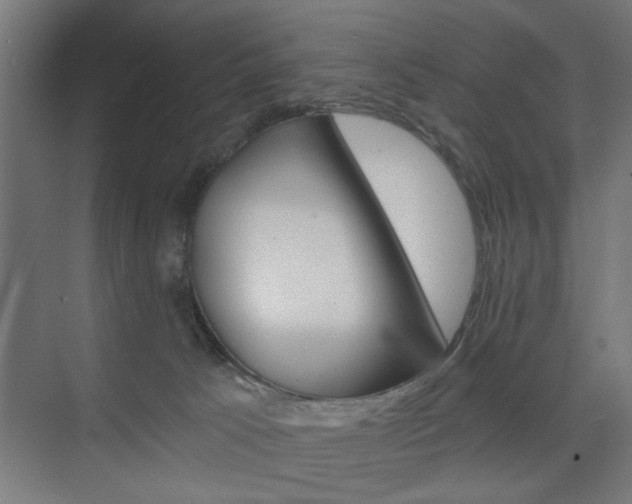 X0000075870033200609150953