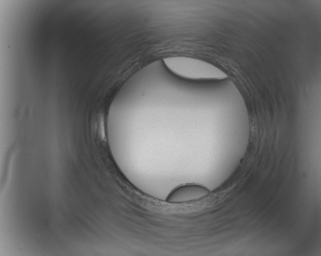 X0000075870046200609150953