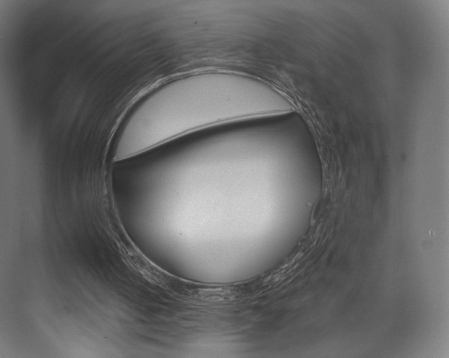 X0000075870050200609150952