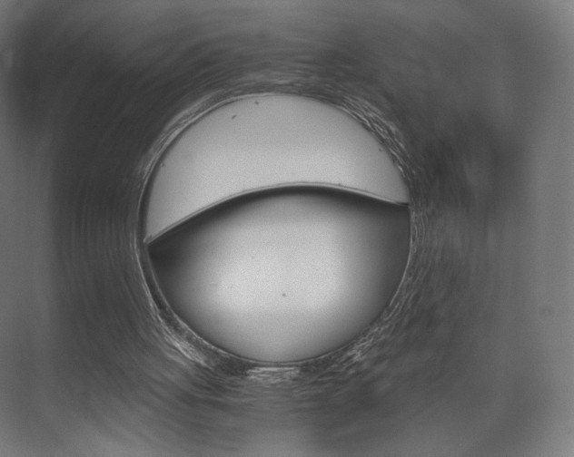 X0000075870051200609150952