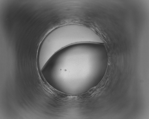 X0000075870052200609150952