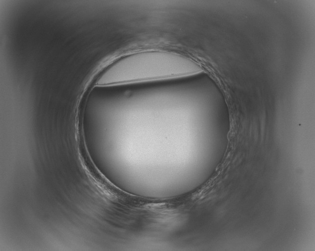 X0000075870054200609150952