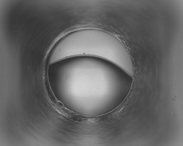 X0000075870056200609150952