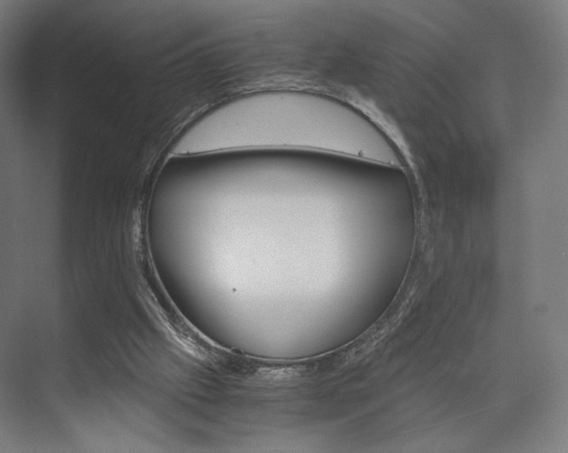 X0000075870057200609150952