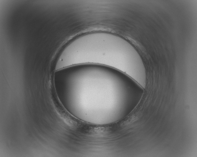 X0000075870064200609150952