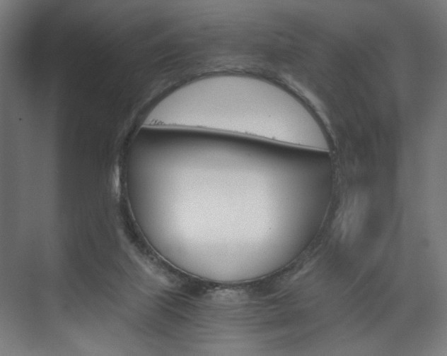 X0000075870067200609150952