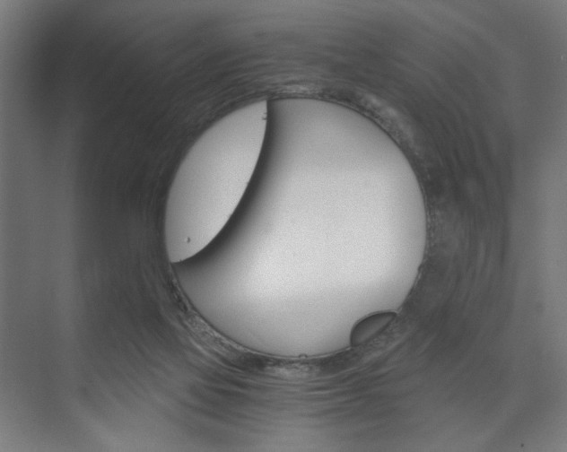 X0000075870069200609150952