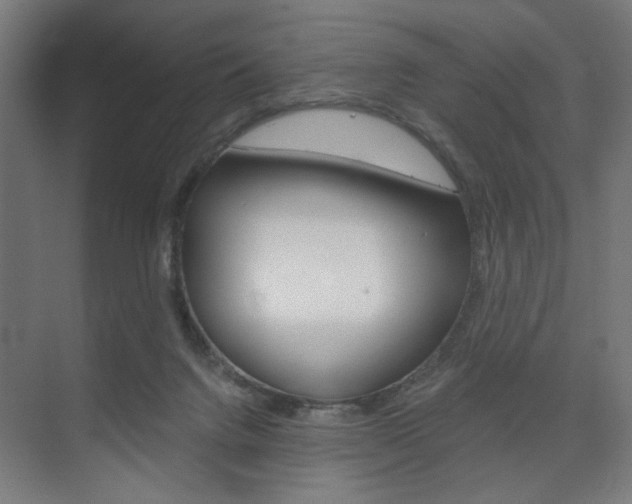 X0000075870072200609150952