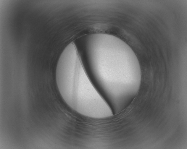 X0000075870075200609150952