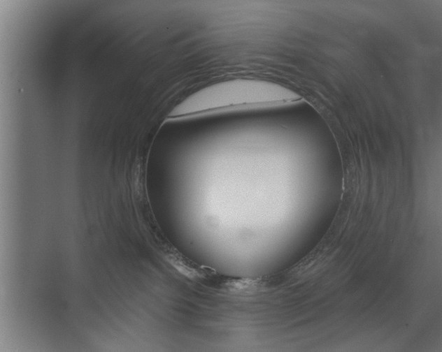 X0000075870092200609150952
