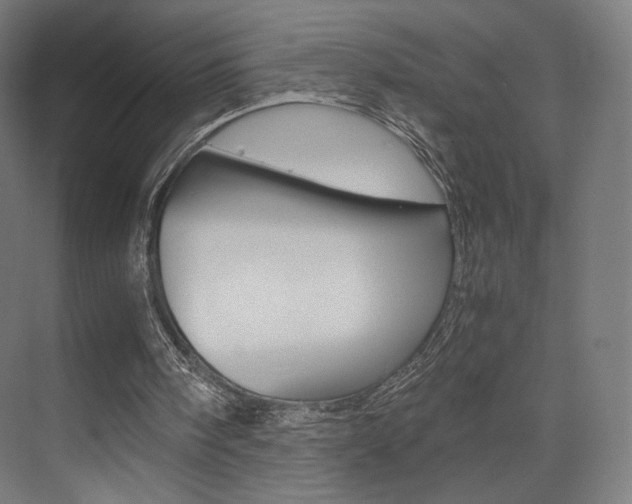 X0000075870098200609150952