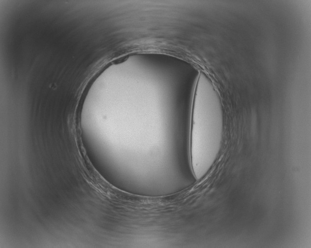 X0000075870099200609150952