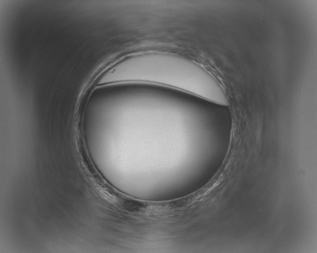 X0000075870101200609150952