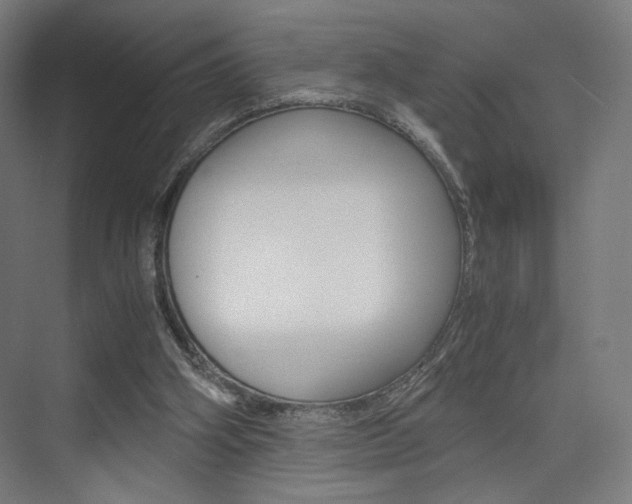 X0000075870106200609150952