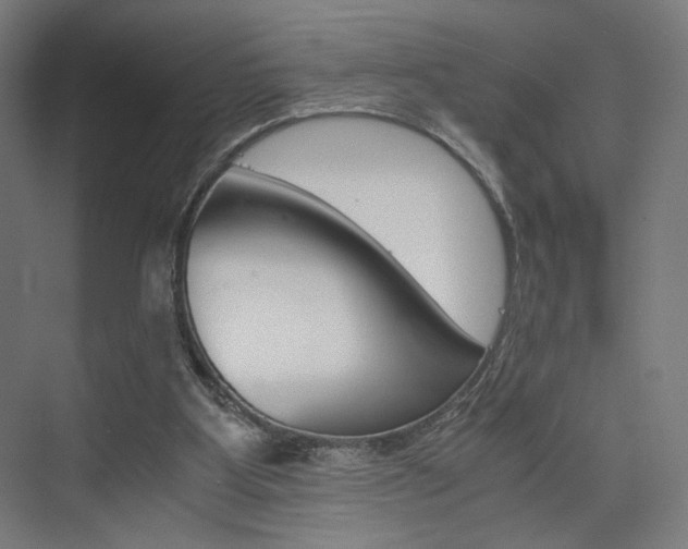 X0000075870107200609150952