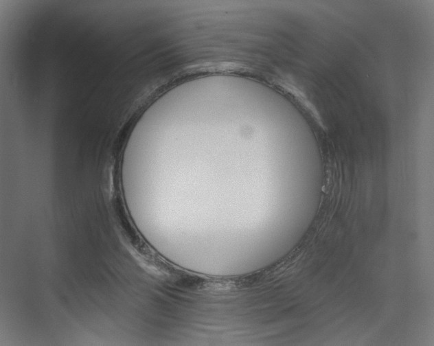 X0000075870110200609150952