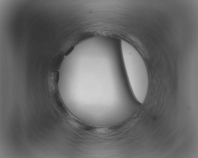 X0000075870121200609150951
