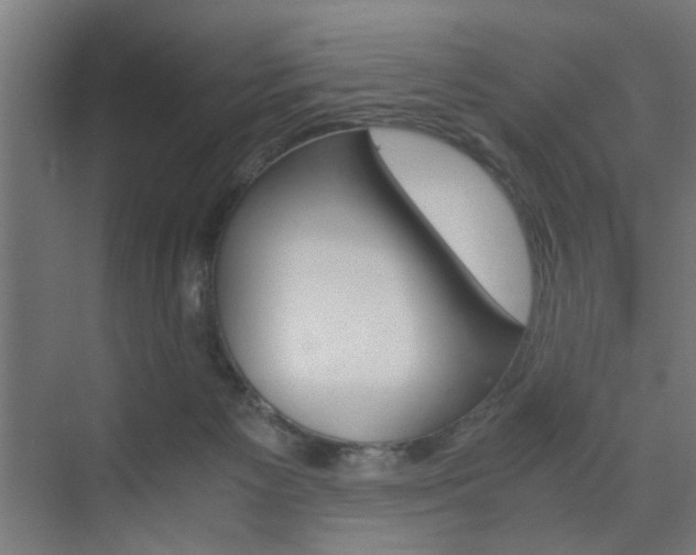 X0000075870125200609150951