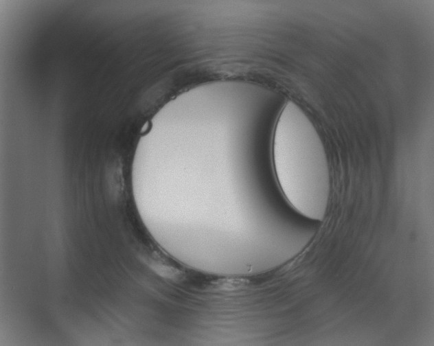 X0000075870128200609150951