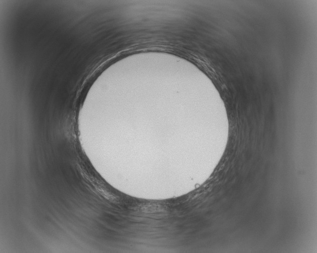 X0000075870146200609150950