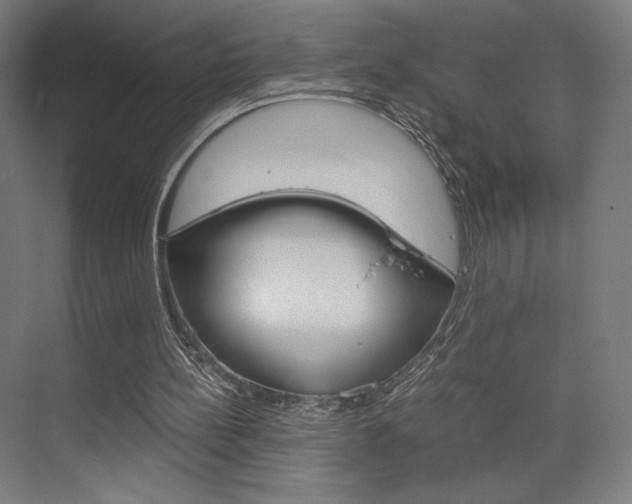 X0000075870148200609150950