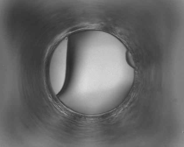 X0000075870149200609150950