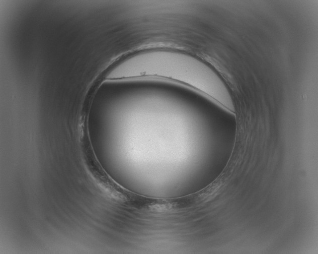 X0000075870160200609150950