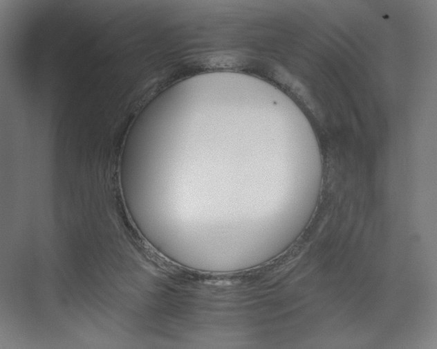 X0000075870161200609150950