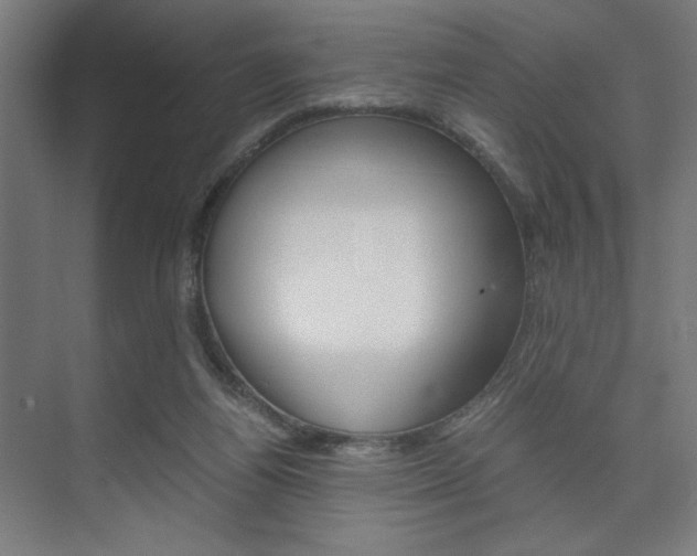 X0000075870164200609150950