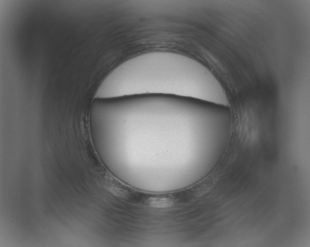 X0000075870169200609150951