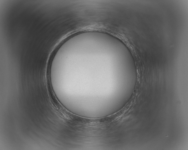 X0000075870196200609150950