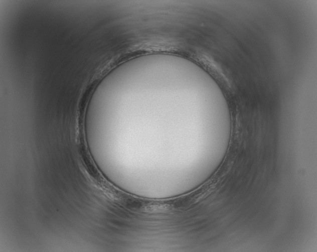 X0000075870202200609150950