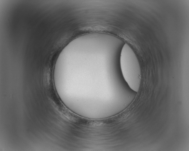 X0000075870206200609150950