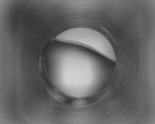 X0000075870217200609150950