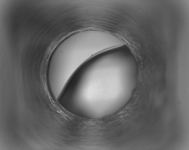 X0000075870241200609150949