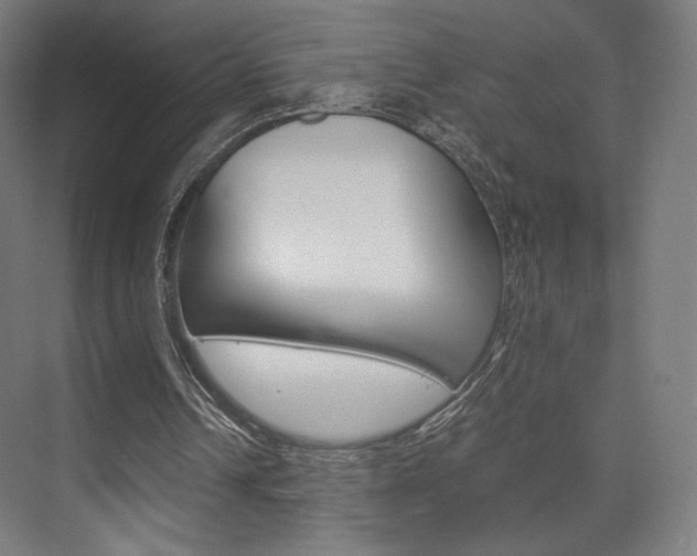 X0000075870242200609150949