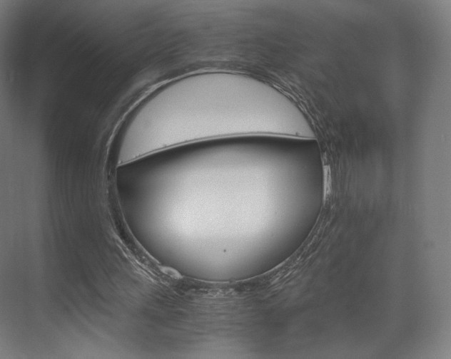 X0000075870243200609150949