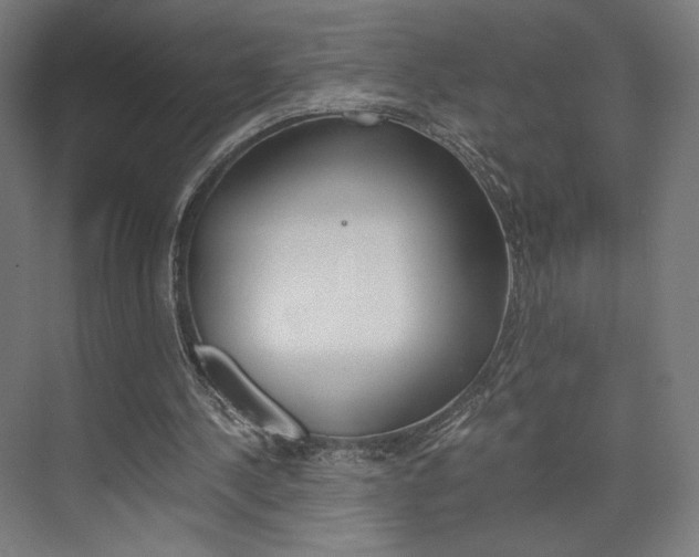 X0000075870244200609150949