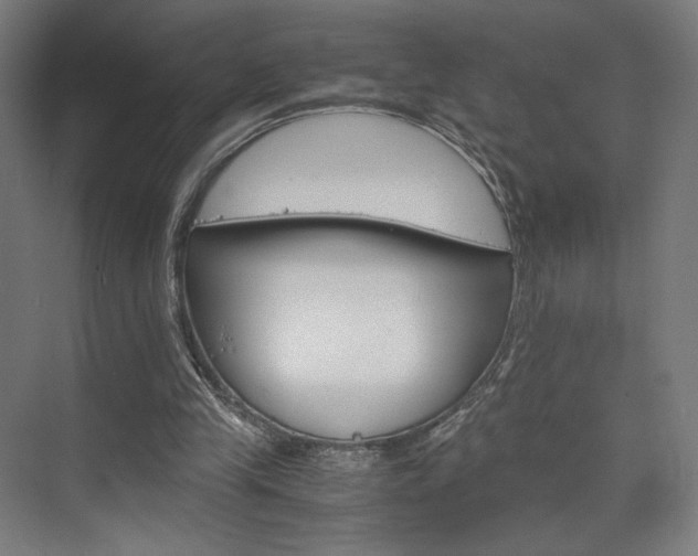X0000075870245200609150949