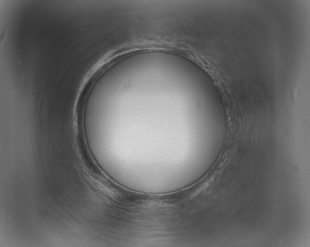 X0000075870246200609150949