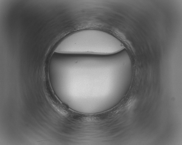 X0000075870250200609150949