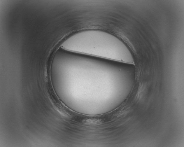 X0000075870251200609150949