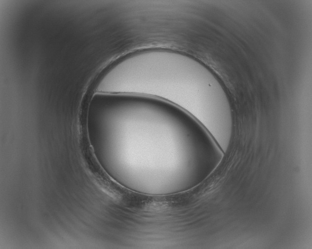 X0000075870252200609150949