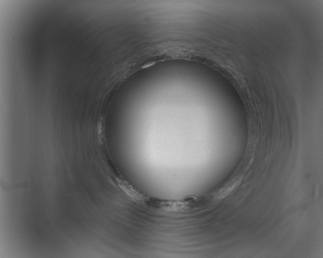 X0000075870288200609150949