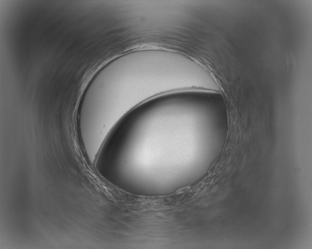 X0000075870289200609150949