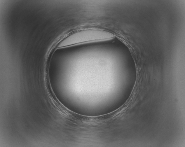 X0000075870293200609150948