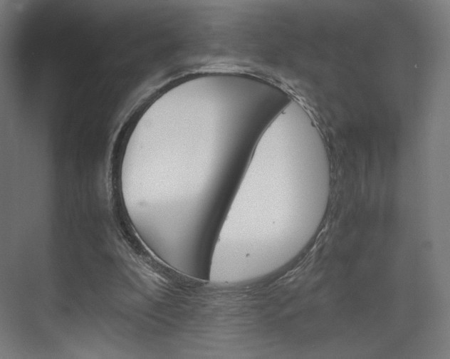X0000075870296200609150948