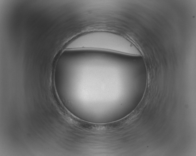 X0000075870301200609150948