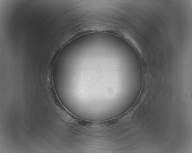 X0000075870305200609150948